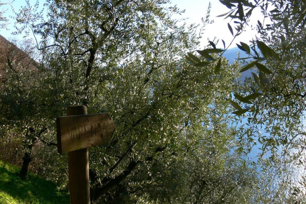 Luci Sul Lago - A Real Paradise Perledo Bagian luar foto