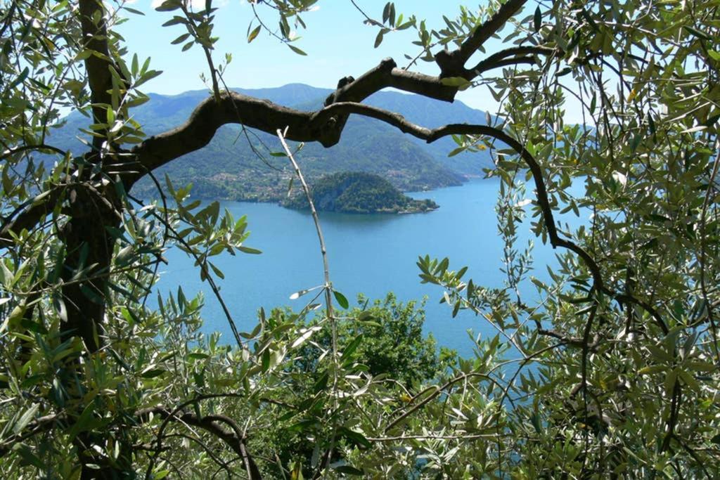 Luci Sul Lago - A Real Paradise Perledo Bagian luar foto